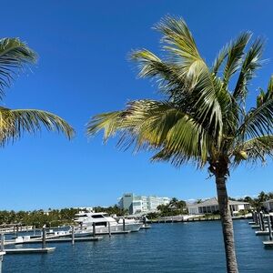 Meet your Posher, Sally